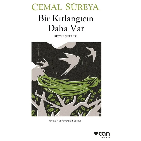 Bir Kırlangıcın Daha Var - Cemal Süreya