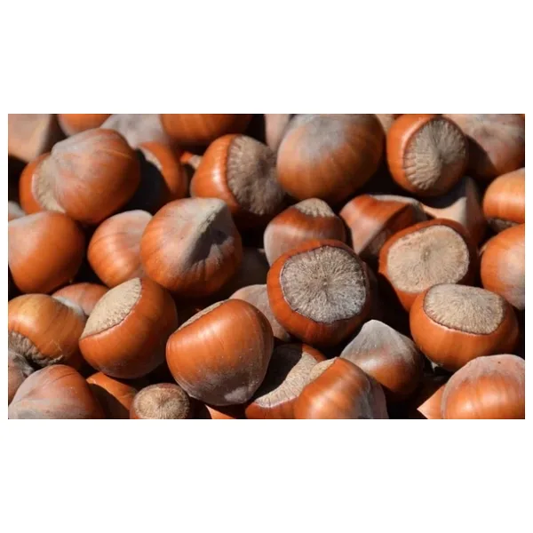 Kabuklu Fındık Doğal 1 kg