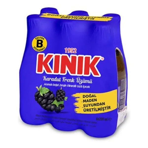 Kınık B Vitaminli 200 ml 6'lı Karadut Frenk Üzümü Aromalı