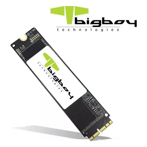 Bigboy BSSDA900-256G PCI-Express 3.0 256 GB M.2 SSD