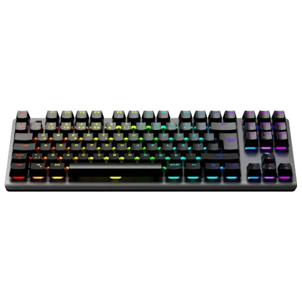 Gamepower Eva 7 Tkl Blue Switch Kablolu/Kablosuz Mekanik Oyuncu Klavyesi