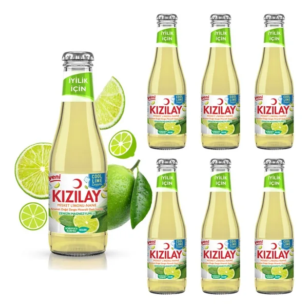Kızılay Maden Suyu Doğal Cool Lime Misket Limonu ve Nane Aromalı 200 ml x 6 Adet