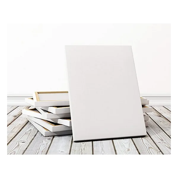 Lona Profesyonel Tuval 80x120 cm
