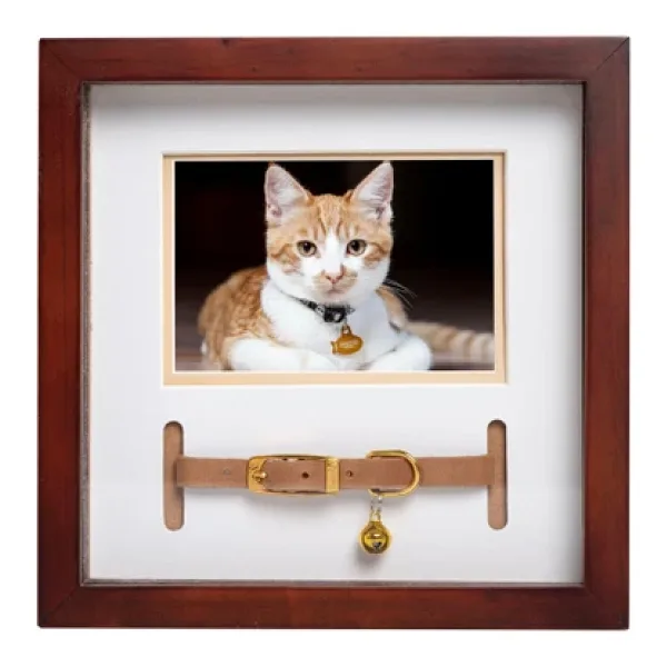 Pearhead Pet Yaka Hatıra Çerçevesi, Evcil Hayvan Anıtı Resim Çerçevesi, Evcil Hayvan Sahibi Ev Dekoru, Kedi veya Köpek Hatırası, 3 x 4.5 Fotoğraf Ekleme, Duvara Montaj ve Masa Üstü Çerçeve, Espresso