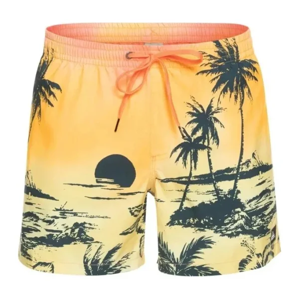 Quiksilver Paradise 15 EQYJV03999 Erkek Deniz Şortu