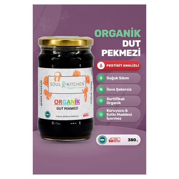 Soul Kitchen 380 gr Organik Dut Pekmezi