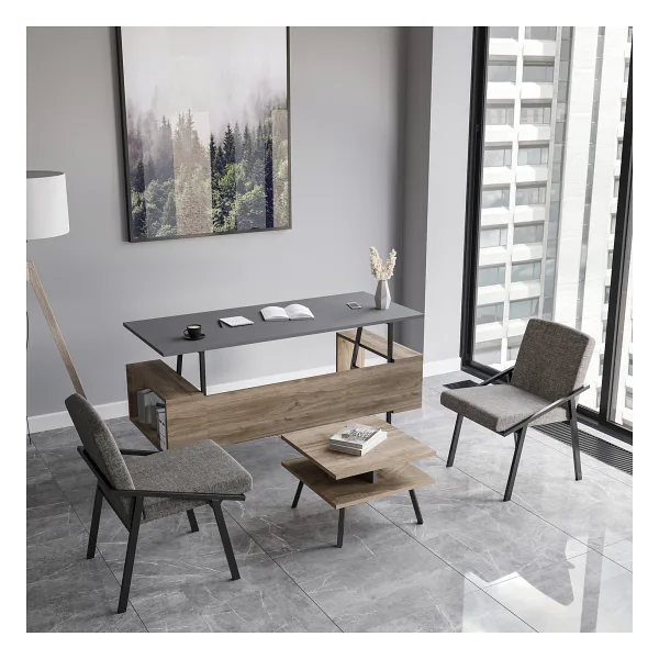 lagomood İrony Ofis Iki Adet Tekli Koltuk Antrasit