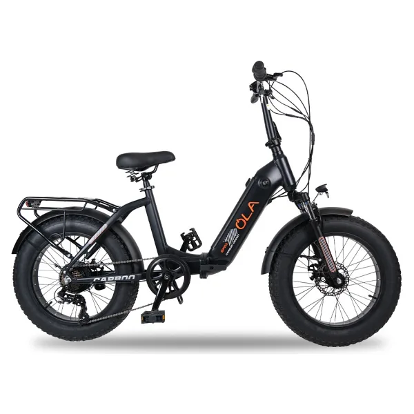 Ola Electrofold EFD1 Carbon Design 250 W Katlanabilir Elektrikli Bisiklet