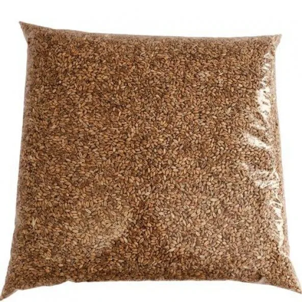 YEMLİK TANE BUĞDAY 5 KG (GÜVERCİN YEMİ)