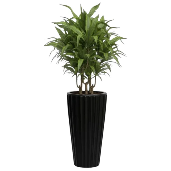 Bliss Lilyum Dekoratif Çizgili Saksı Vazo & Şemsiyelik Siyah Renk 58 cm (İçliksiz)
