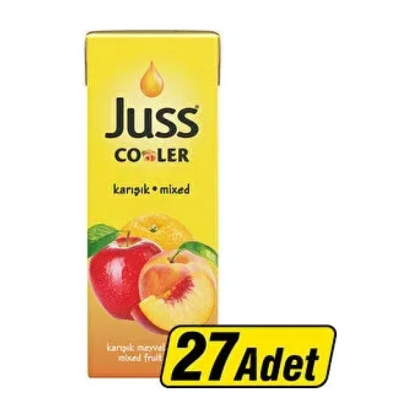 Juss Cooler Meyve Suyu 27x200 ml