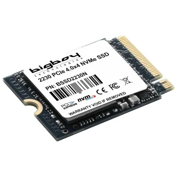 Bigboy BSSD2230N1T PCI-Express 4.0 1 TB M.2 SSD