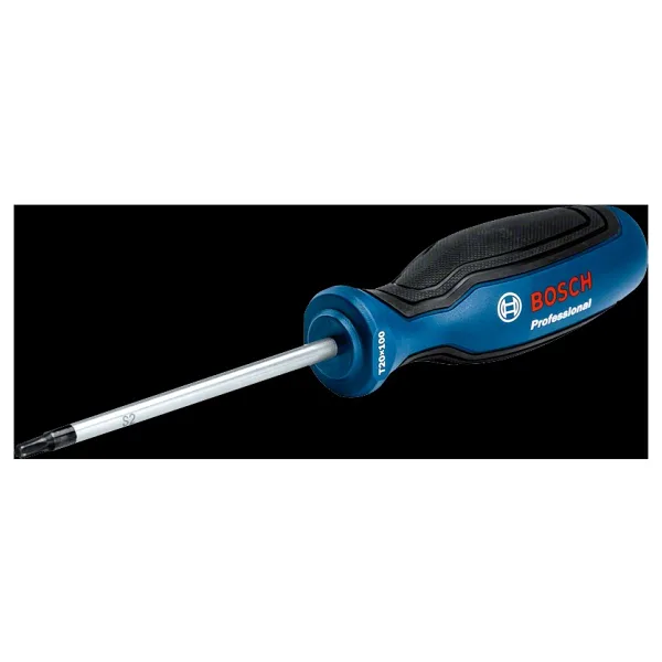 Bosch Pro 1600A01V0C TX20x100 mm Torx Tornavida