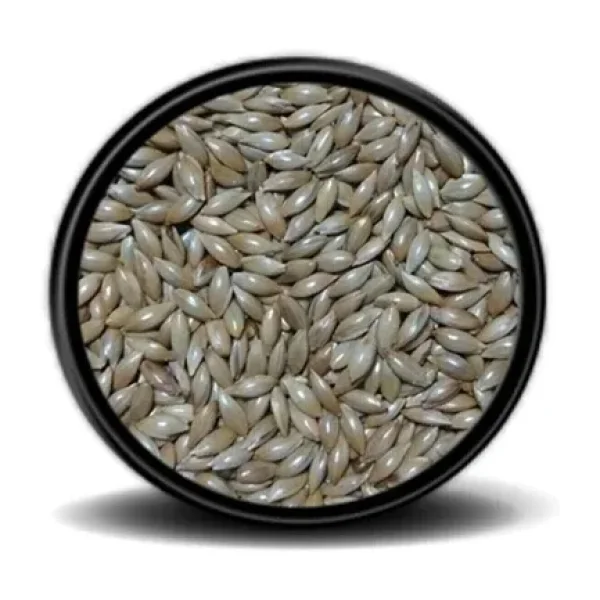 Sade Kanarya Yemi (Aspur)1 kg