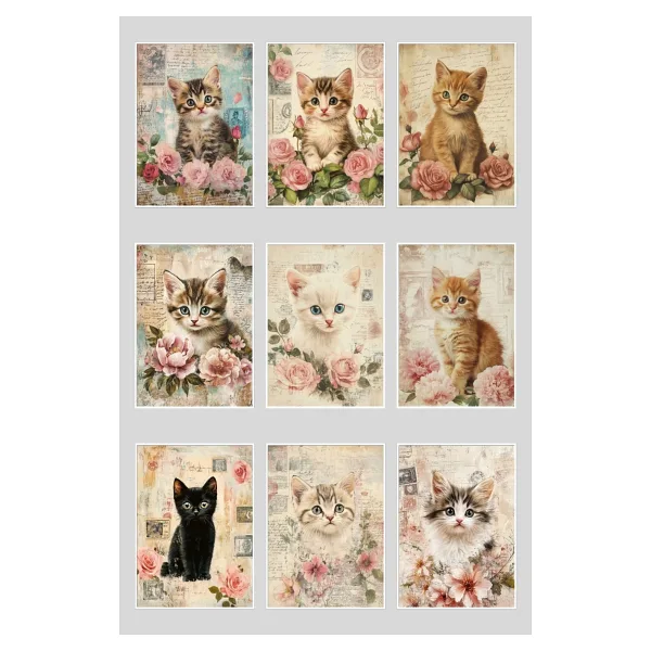 Qoeuyl Boutique Sevimli Kediler Temalı 9'lu Kartpostal