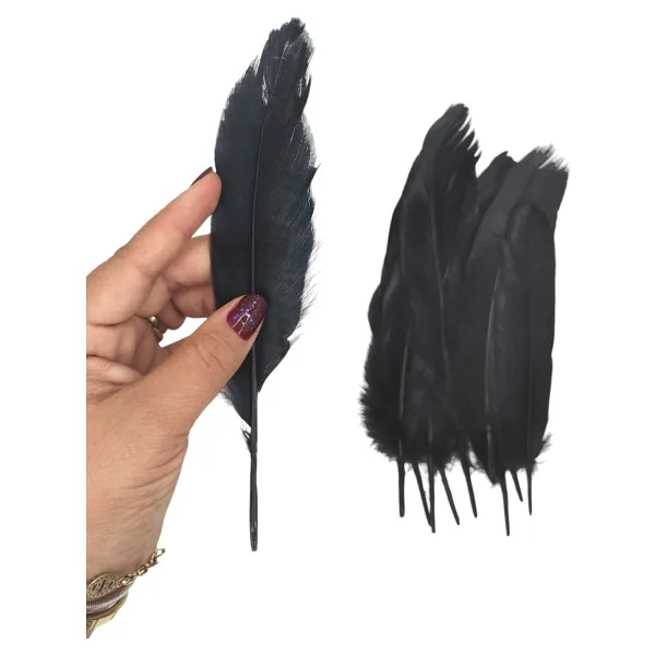 Siyah Tüy El İşi Tüyleri, Okul Öncesi Etkinlik Tüy 10 Lu - 1 Paket