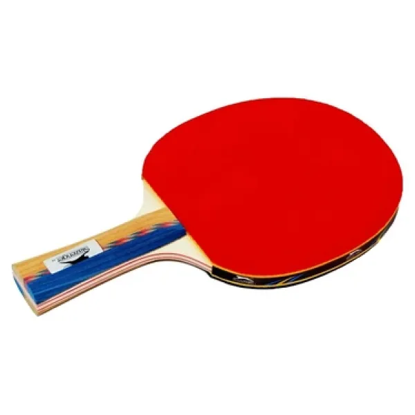 Slazenger Master ITTF Onaylı Masa Tenisi Raketi