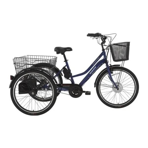 Bisan E-Porter 250 W 3 Tekerlekli Elektrikli Bisiklet