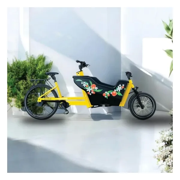 Rhousus Volume Eco Bafang M510 Mid Motor Elektrikli Kargo Bisikleti