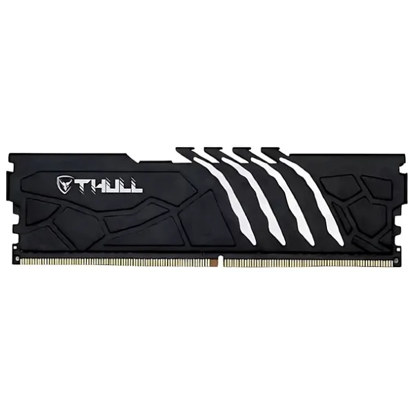 Thull Vortex 16 GB 5600 MHz CL46 THL-PCVTX44800D5-16G-B DDR5 Ram