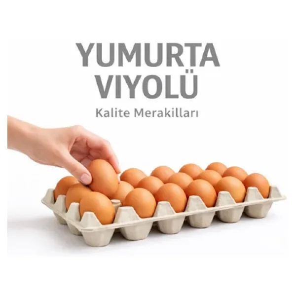 Kalite Meraklıları (50 Adet)30'lu Karton Yumurta Viyolü (50 Adet 17LBS)- Viyol Toptan Premium Kalite Yumurta Kutusu
