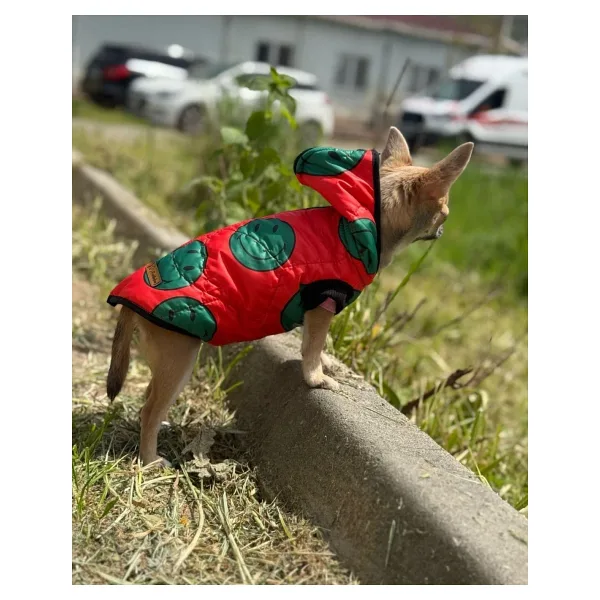 Patilinka Kedi - Köpek Şişme Yelek Mont - Kıyafet
