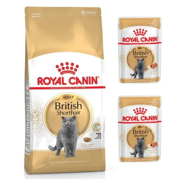 Royal Canin British Shorthair 2 kg Yetişkin Kedi Maması