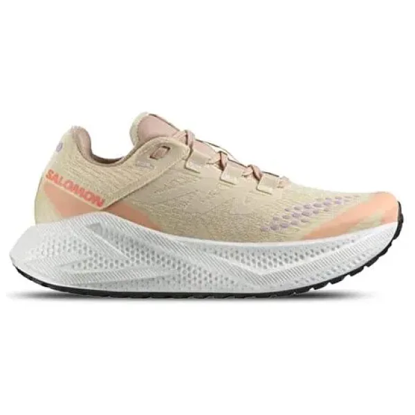 Salomon Aero Glide 3 GRVL Kadın Koşu Ayakkabısı