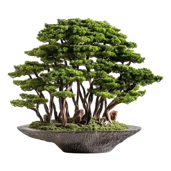 Omnia Concept Kursa Bonsai Garden - Iç Ve Dış Mekan Kullanımına Uygun Premium Kalitede Yapay Ağaç 130X120 Cm