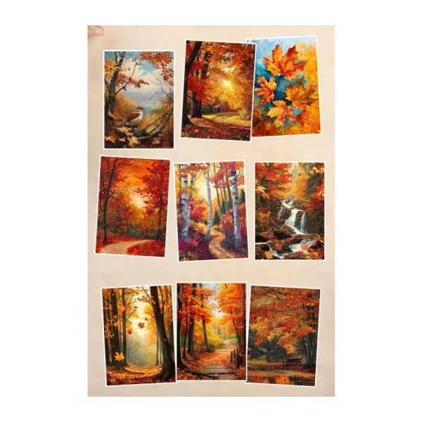 Qoeuyl Boutique Sonbahar Orman Manzaralı 9'lu Kartpostal