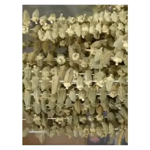 Silifke Market Kuru Bamya 100 gr