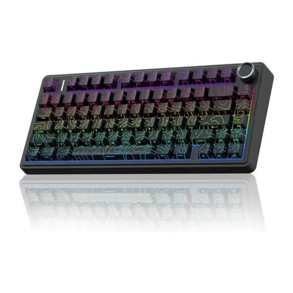 Aula F75 Mekanik RGB TKL Seiya Switch Kablosuz Makrolu Hot Swap Gaming Klavye Desenli Siyah