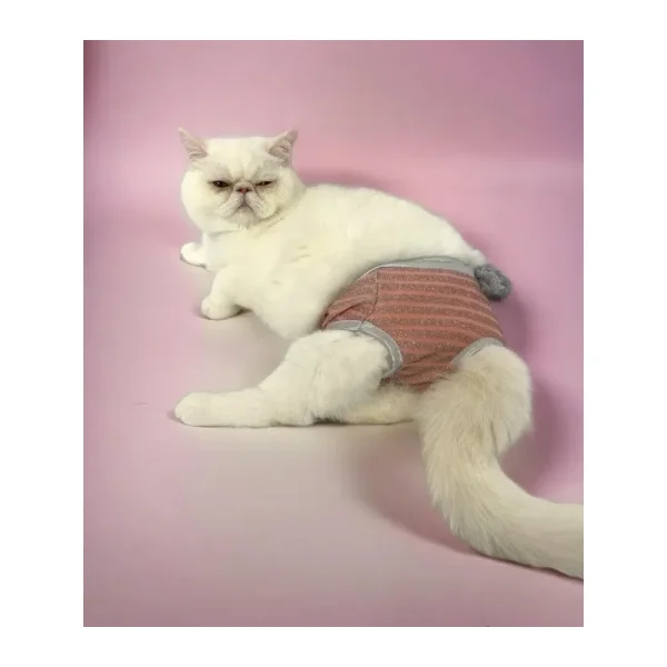 Pink Shine Kemiques Secret Kedi Ic Camasiri Regl Kulot Don