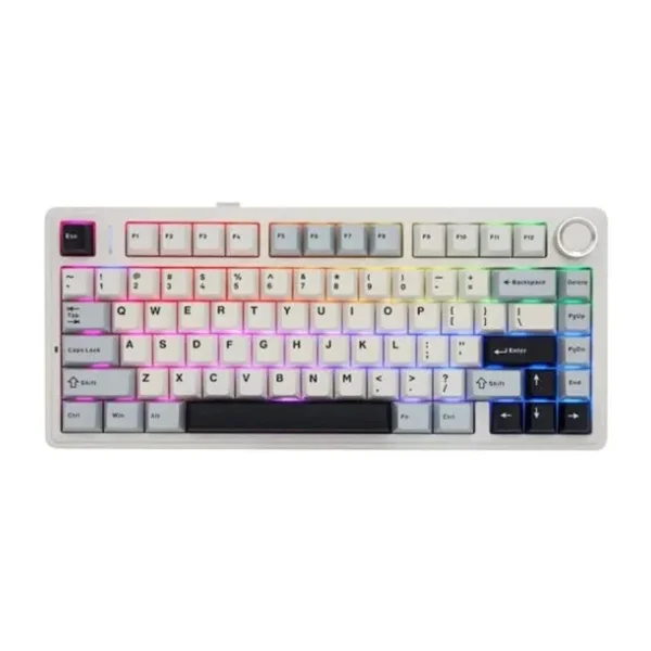 Aula F75 Beyaz-Mavi RGB %75 Tkl Reaper Switch Kablolu/Kablosuz Mekanik Oyuncu Klavyesi