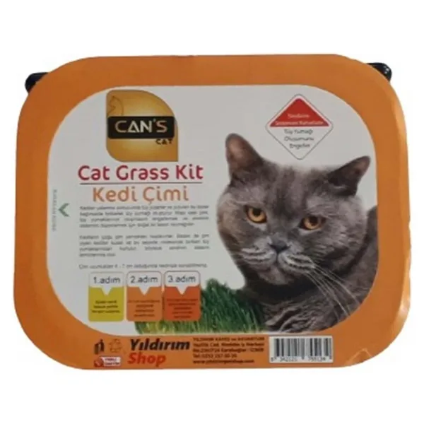 Can's Cat Kedi Çimi