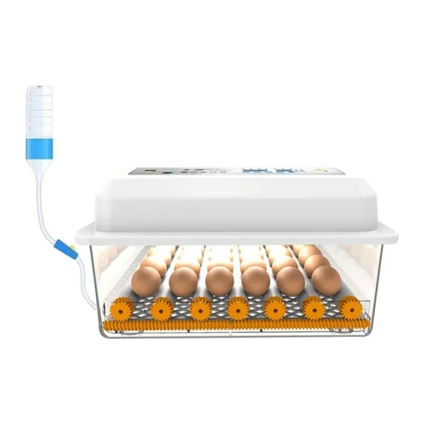 Efe Kuluçka Kaz Yumurtası Uyumlu Kuluçka Makinesi