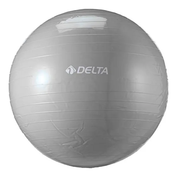 Delta Ds 565 Pilates Egzersiz Topu, 65, cm Unisex, Gümüş Rengi