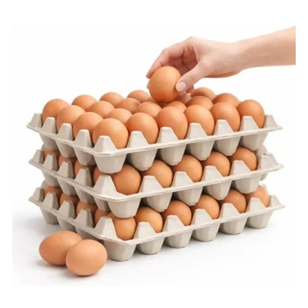 Kalite Meraklıları (524 Adet)30'lu Karton Yumurta Viyolü (524 Adet 17LBS)- Viyol Toptan Premium Kalite Yumurta Kutusu