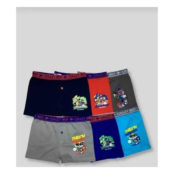 Tutku 0253 Desenli Erkek Çocuk Likralı Boxer Şort 6 Lı