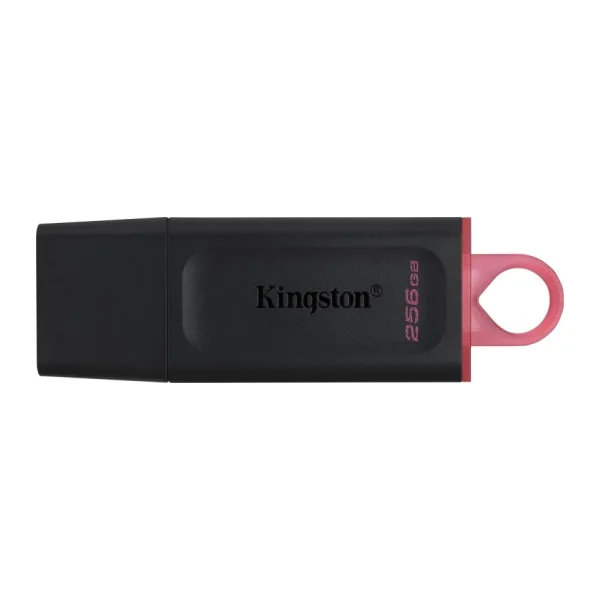 Kingston Exodia USB 3.2 Gen1 DTX/256GB 256 GB Flash Bellek