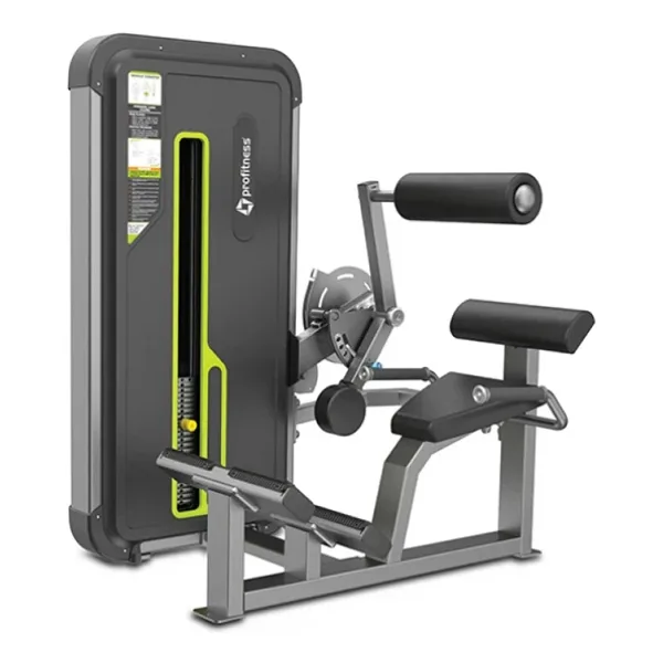 Profitness A3031 Back Extension