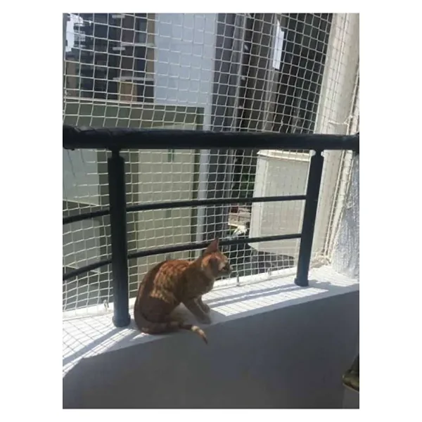Ünal File 2,50 x 16 mt Balkon Kedi Güvenlik Filesi Kedi Ağı Kalın Balkon Kuş Güvercin Önleme Ağı