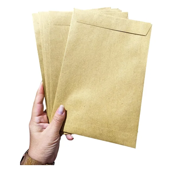 Limmy Zarf A5 boyutunda Formula Torba Zarf 17x25 cm - 10 Adet