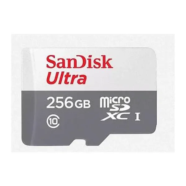 SanDisk Ultra SDSQUNR-256G-GN3MN Class 10 UHS-I 256 GB Micro SD Kart