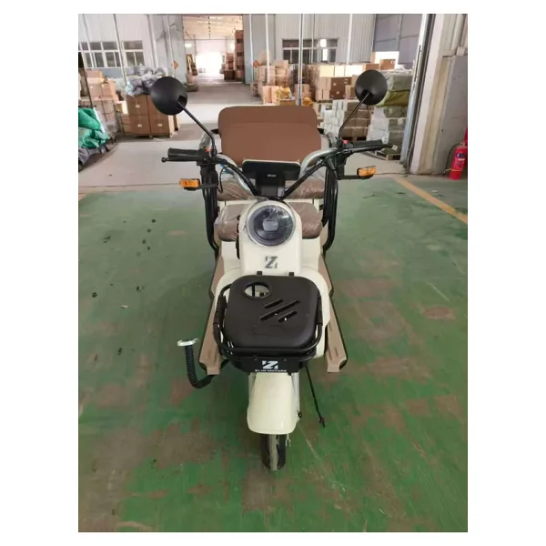 Zlin Motors Troya Eco 1000 W Üç Tekerlekli Elektrikli Motosiklet