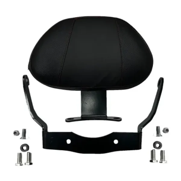 Gogo Premium Honda Forza 250 2023 - 2024 Uyumlu Sissy Bar