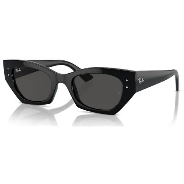 Ray-Ban Zena 4430 667787 Black-Dark Grey Güneş Gözlüğü