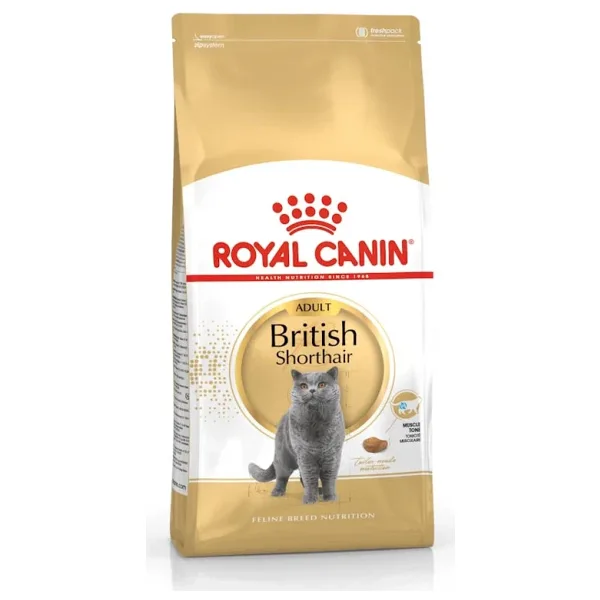 Royal Canin British Shorthair 10 kg Yetişkin Kedi Maması