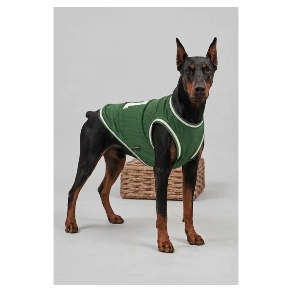 salya store Köpek Kıyafeti, Boston Köpek Forma, Kedi Köpek Elbisesi
