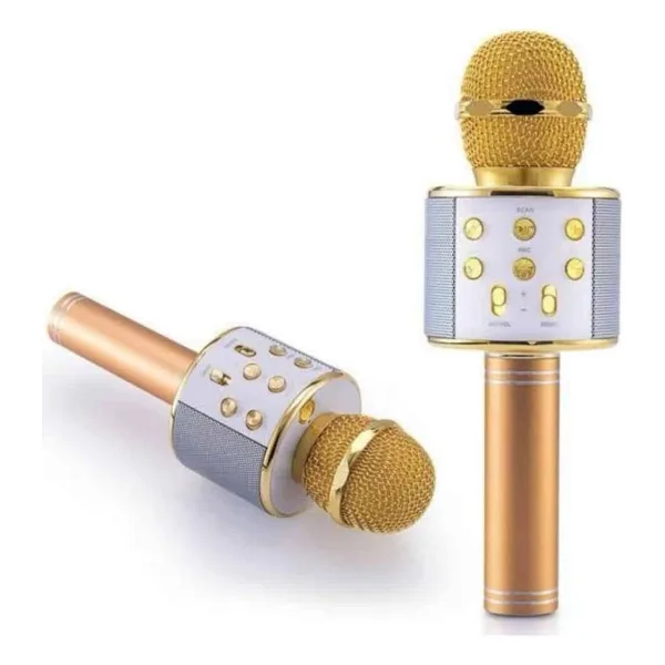 Teknodayım Karaoke Mikrofon Dahili Hoparlörlü Sd-Usb-Aux Girişli Bluetooth Hoparlör - Çok Renkli
